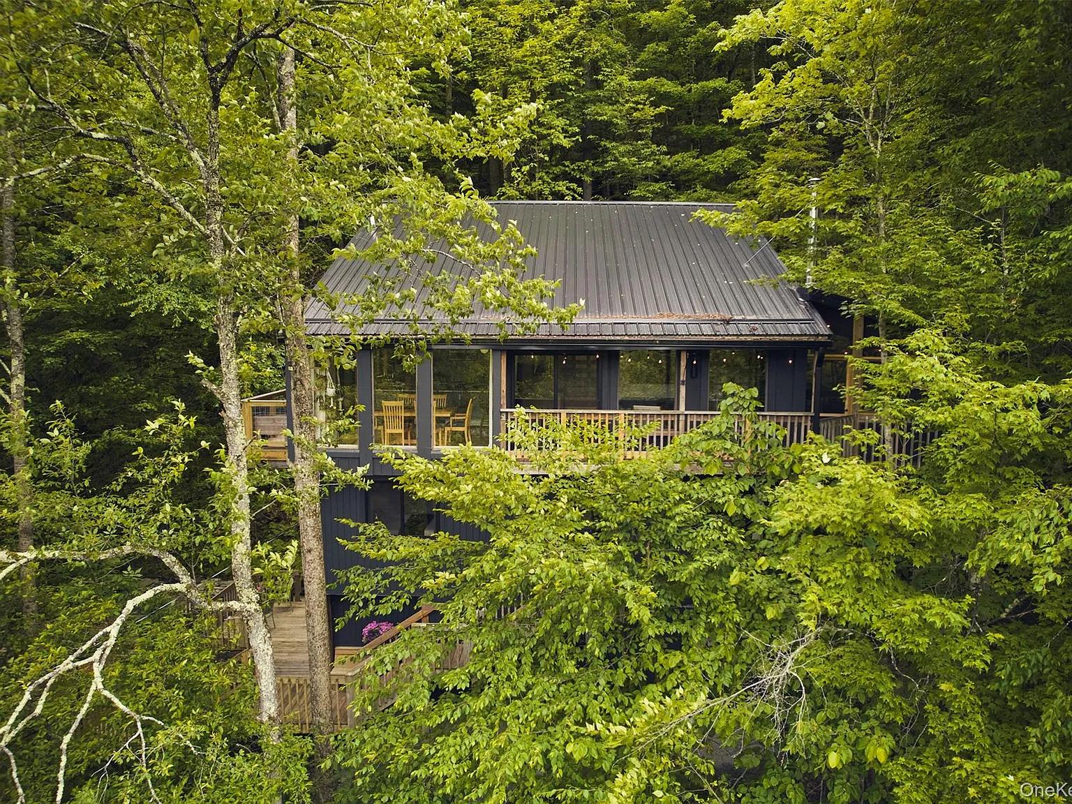 Angler's Perch cabin nestled among tall green trees, seen from above